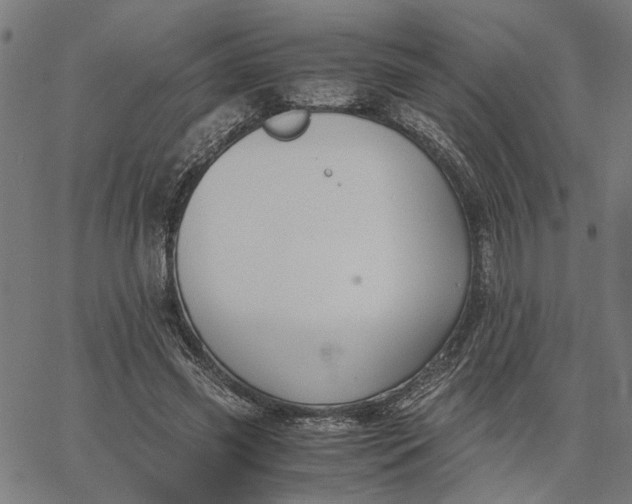 X0000065250541200603031806