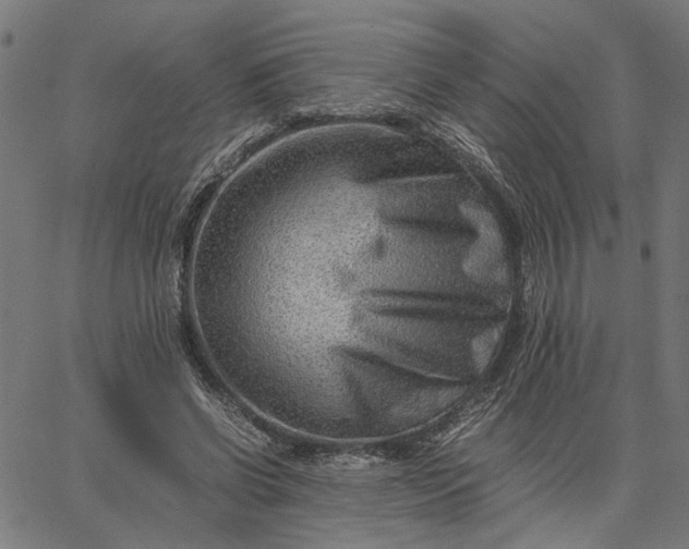 X0000065250542200603031806