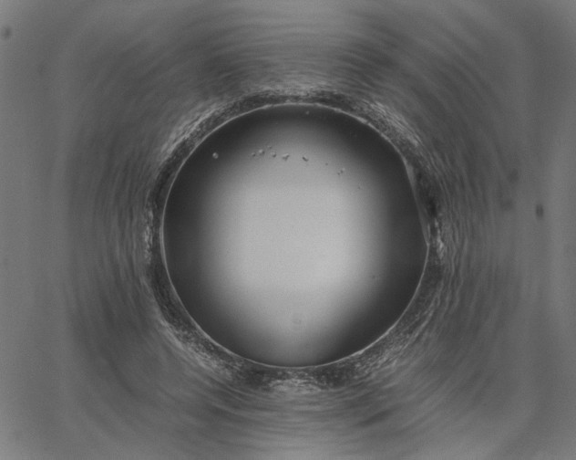 X0000065250544200603031806