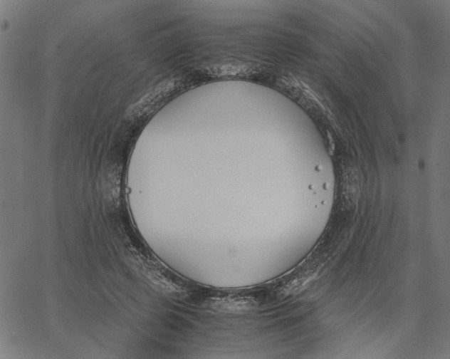 X0000065250545200603031806