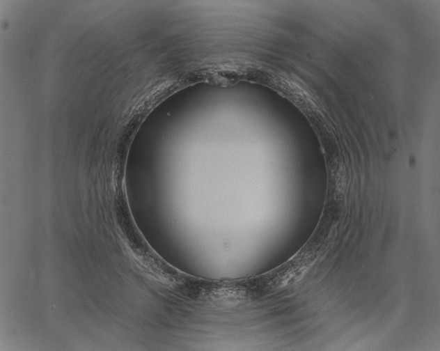 X0000065250546200603031806