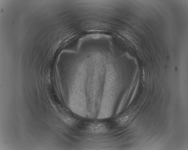 X0000065250547200603031806