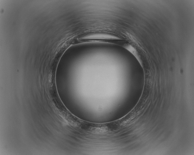 X0000065250548200603031806