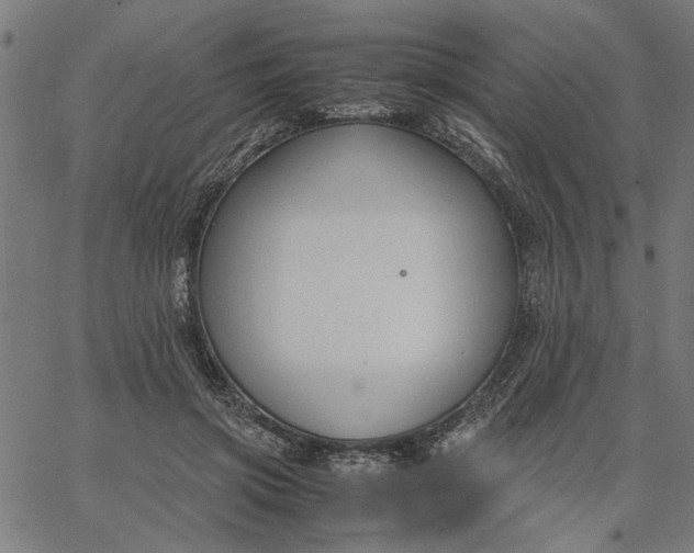 X0000065250549200603031806