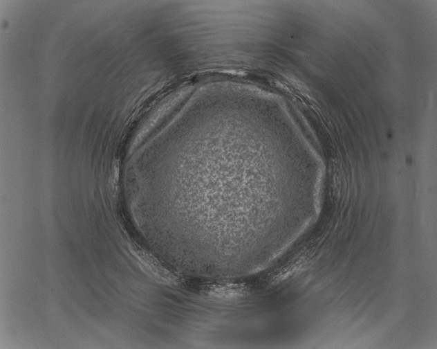 X0000065250550200603031806