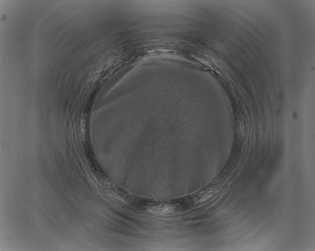 X0000065250551200603031806