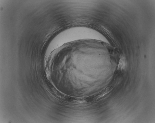 X0000065250552200603031806