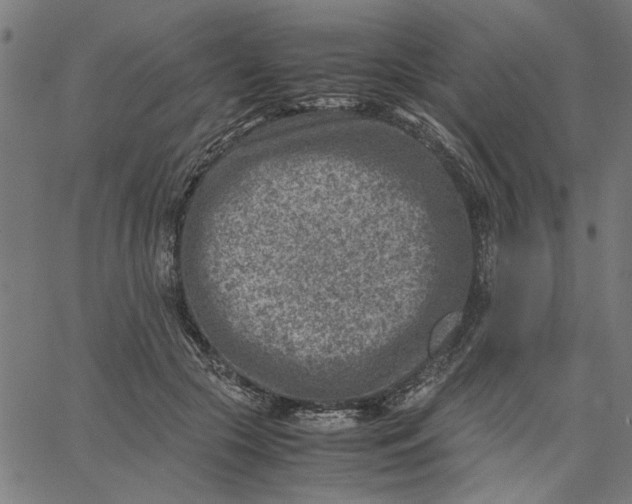 X0000065250553200603031806