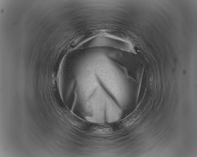 X0000065250555200603031806