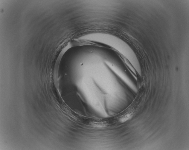 X0000065250556200603031806