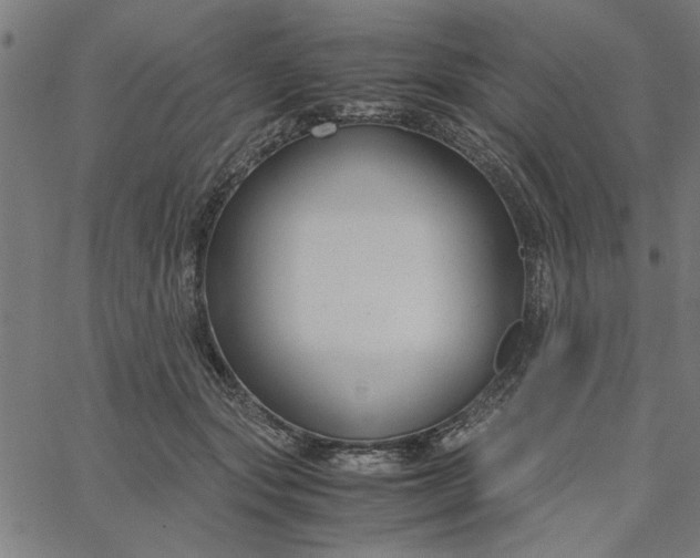 X0000065250557200603031806