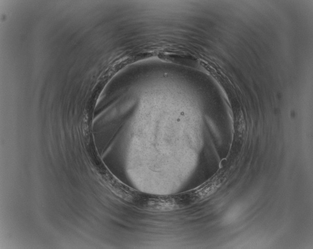 X0000065250559200603031806