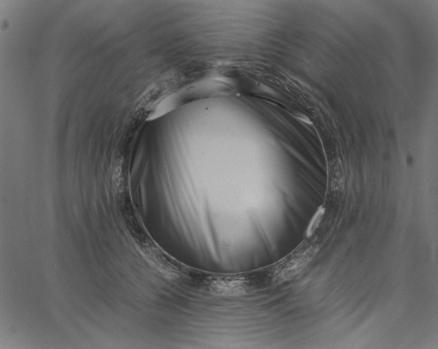 X0000065250560200603031806