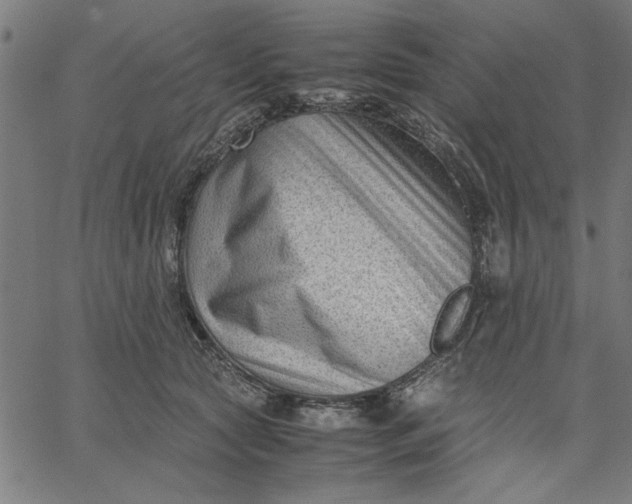 X0000065250561200603031806