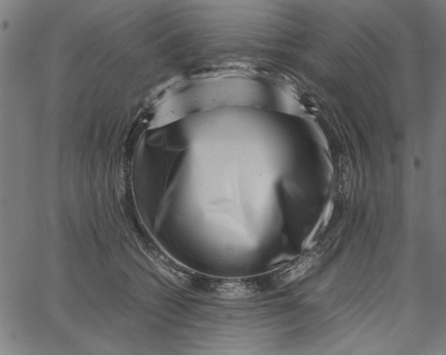 X0000065250562200603031806