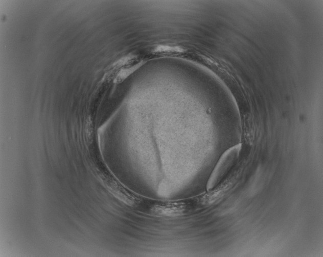 X0000065250563200603031806