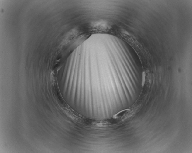 X0000065250564200603031806