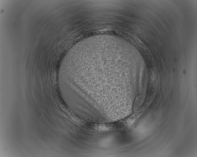 X0000065250565200603031806