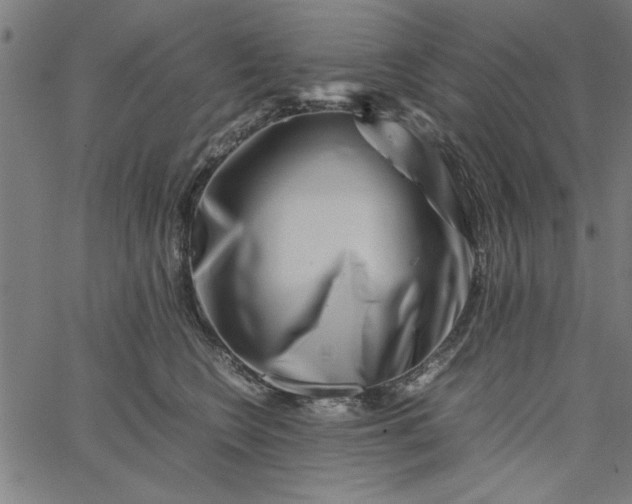 X0000065250566200603031806