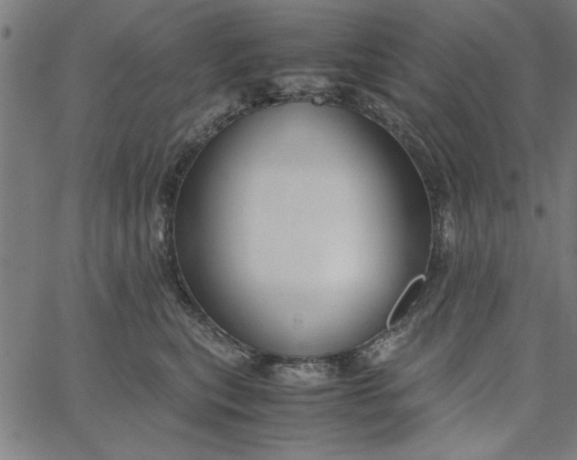 X0000065250567200603031806