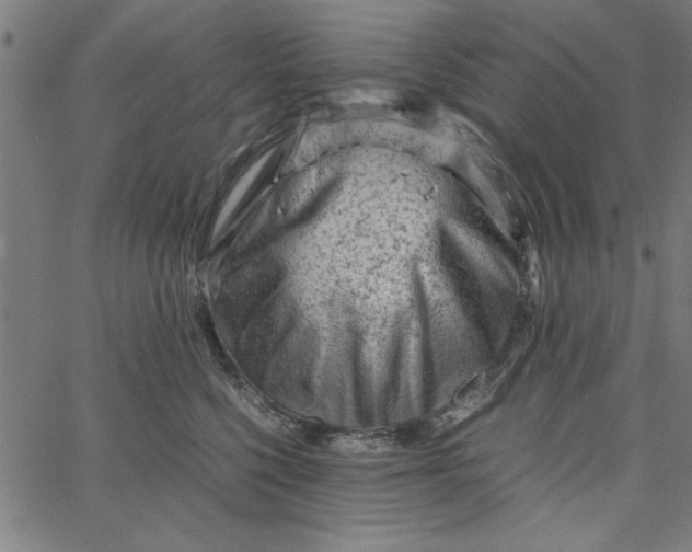 X0000065250568200603031806