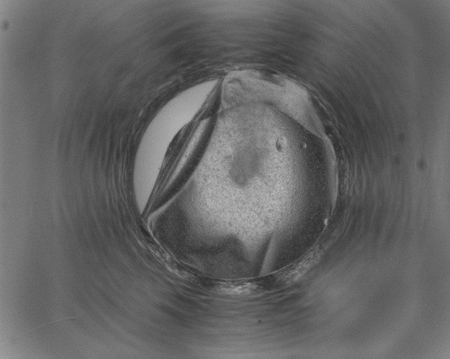 X0000065250569200603031806