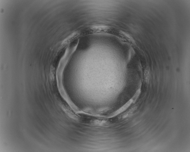 X0000065250570200603031806