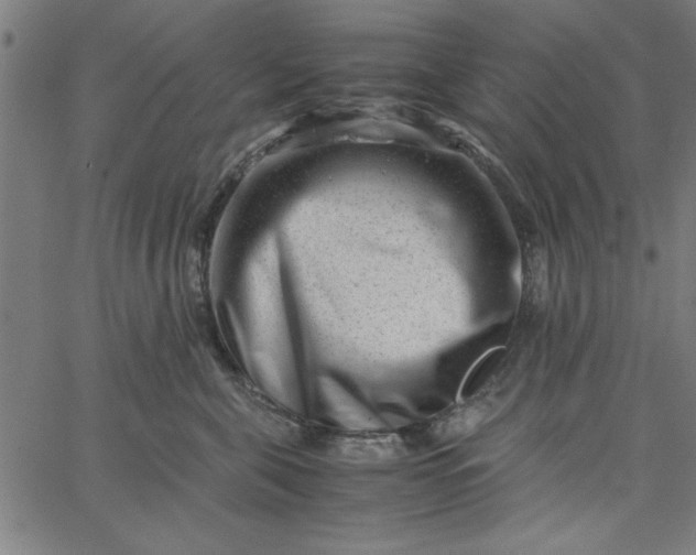 X0000065250571200603031806