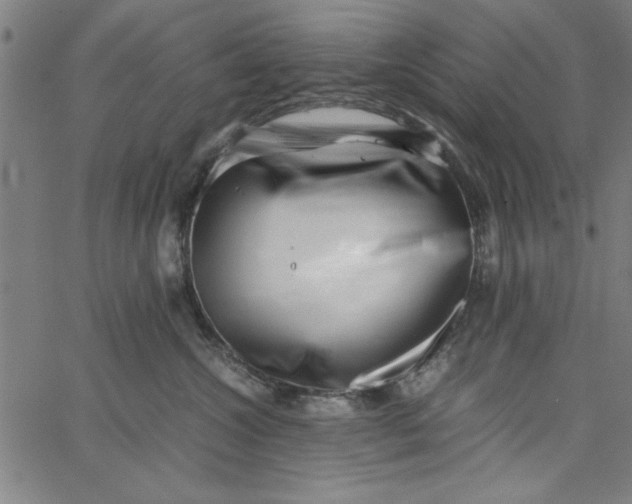 X0000065250572200603031806