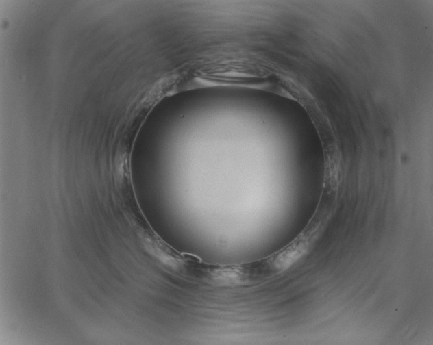 X0000065250574200603031806