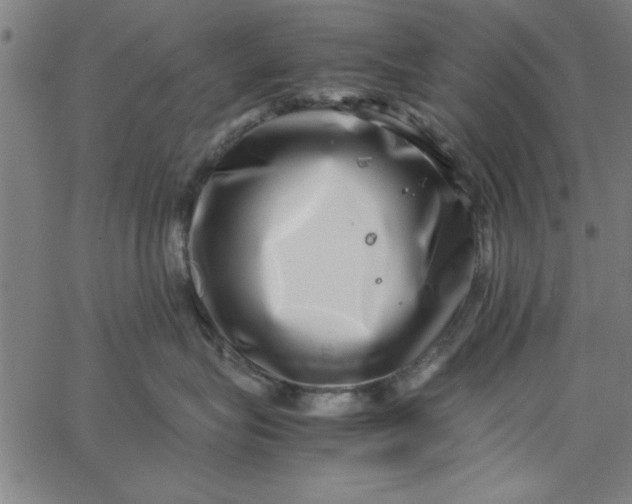 X0000065250575200603031806