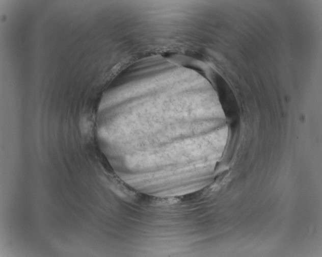 X0000065250576200603031806