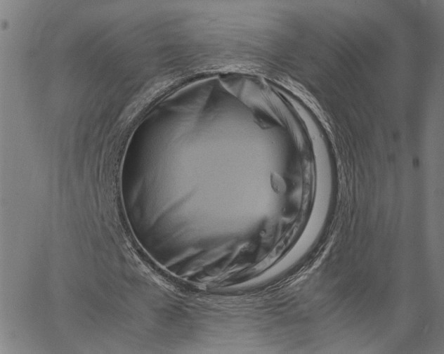 X0000065250577200603031806