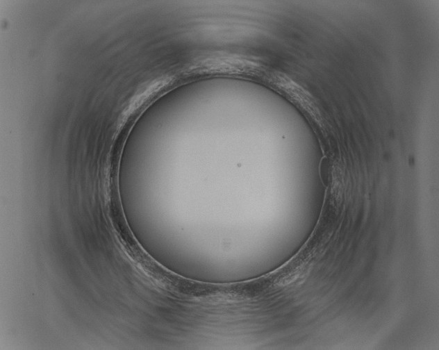 X0000065250578200603031806