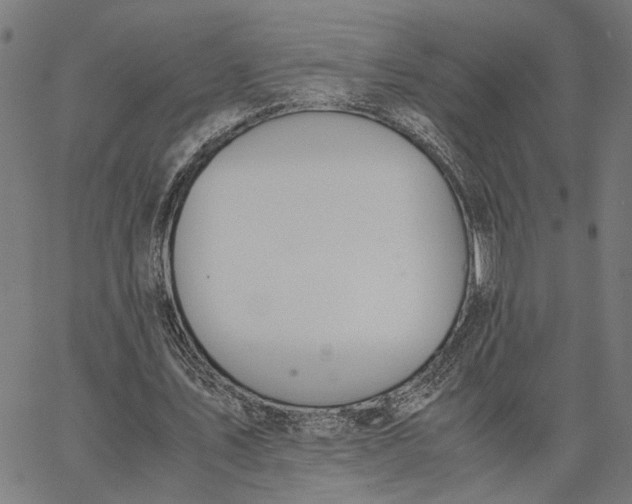 X0000065250579200603031806