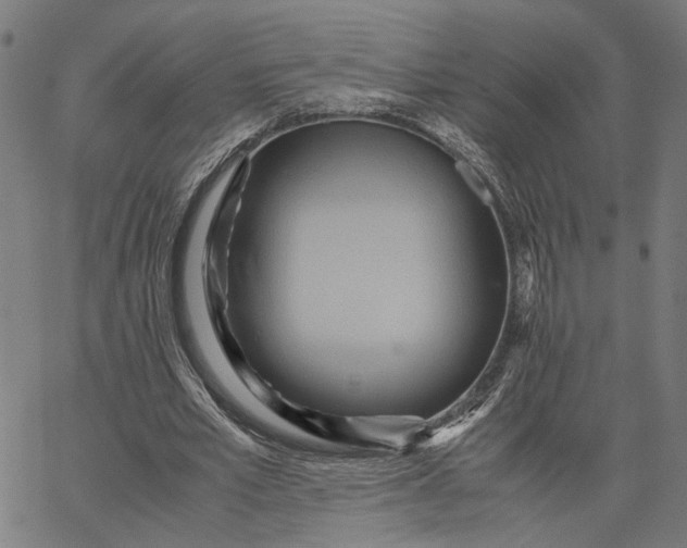 X0000065250581200603031806