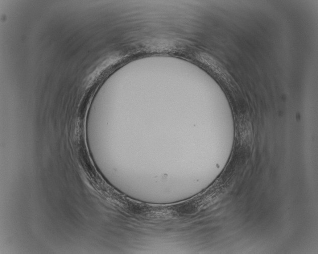 X0000065250583200603031806