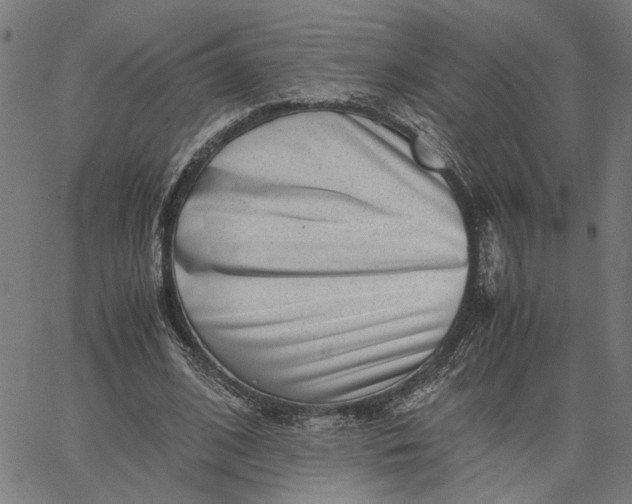 X0000065250584200603031806