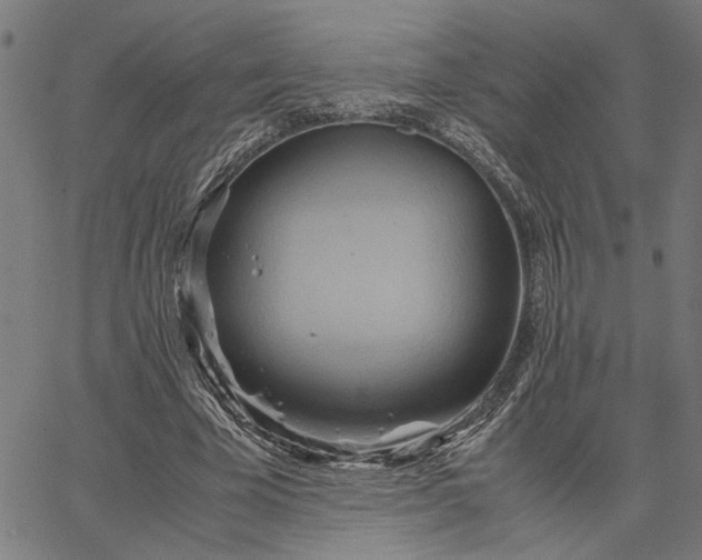 X0000065250585200603031806