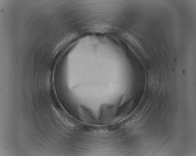 X0000065250586200603031806