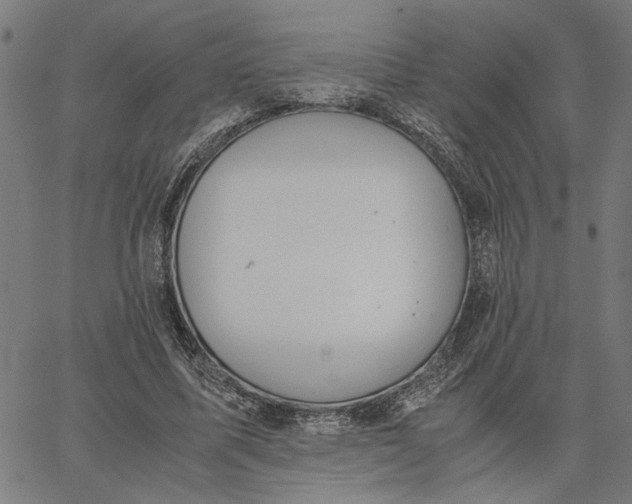 X0000065250587200603031805