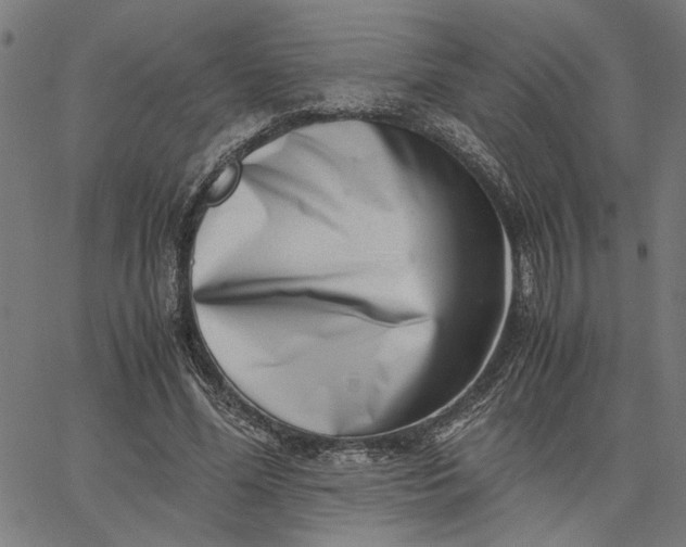 X0000065250588200603031805