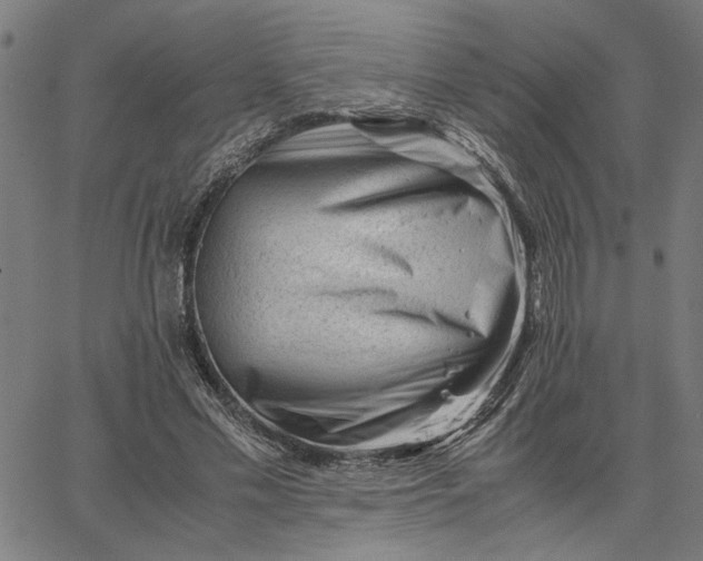 X0000065250589200603031805