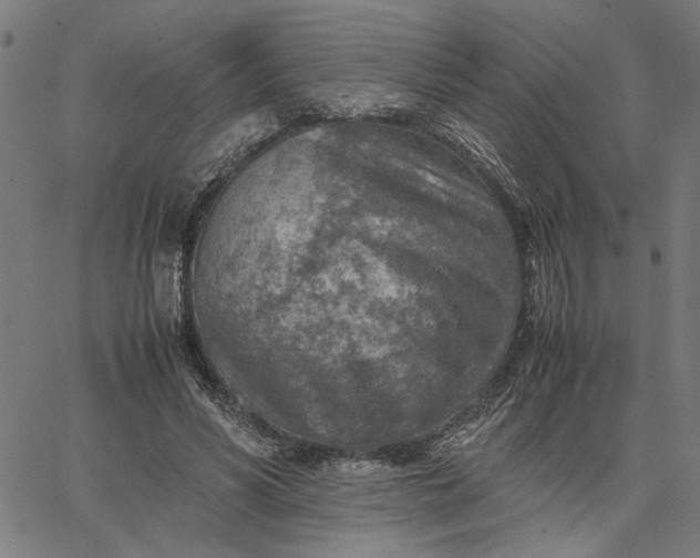 X0000065250590200603031805