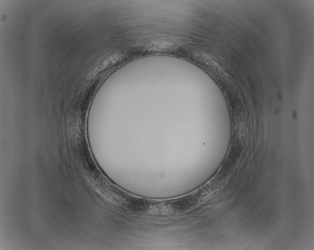 X0000065250591200603031805