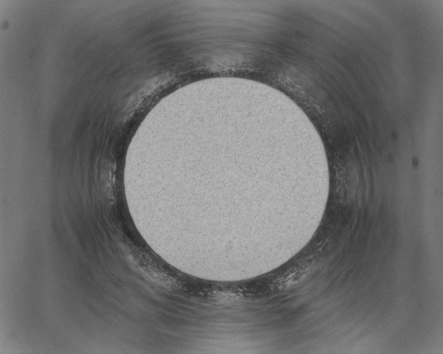 X0000065250592200603031805