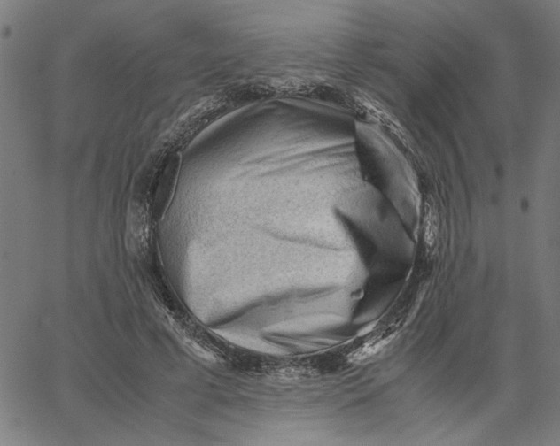 X0000065250593200603031805