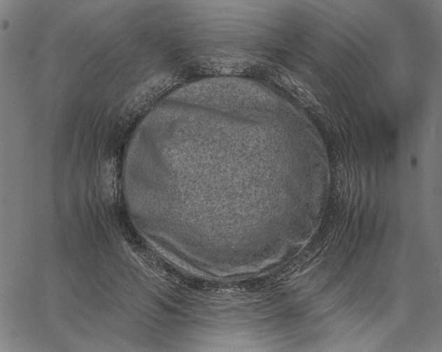 X0000065250594200603031805