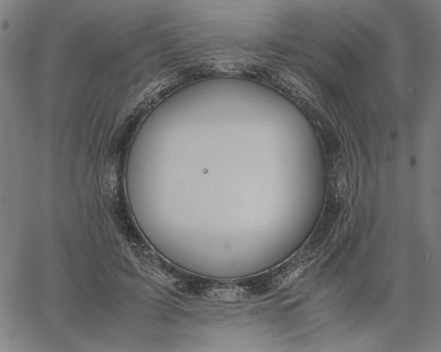 X0000065250595200603031805