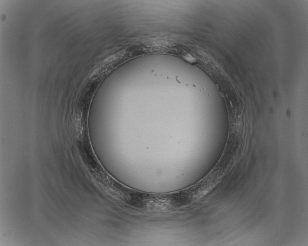 X0000065250599200603031805